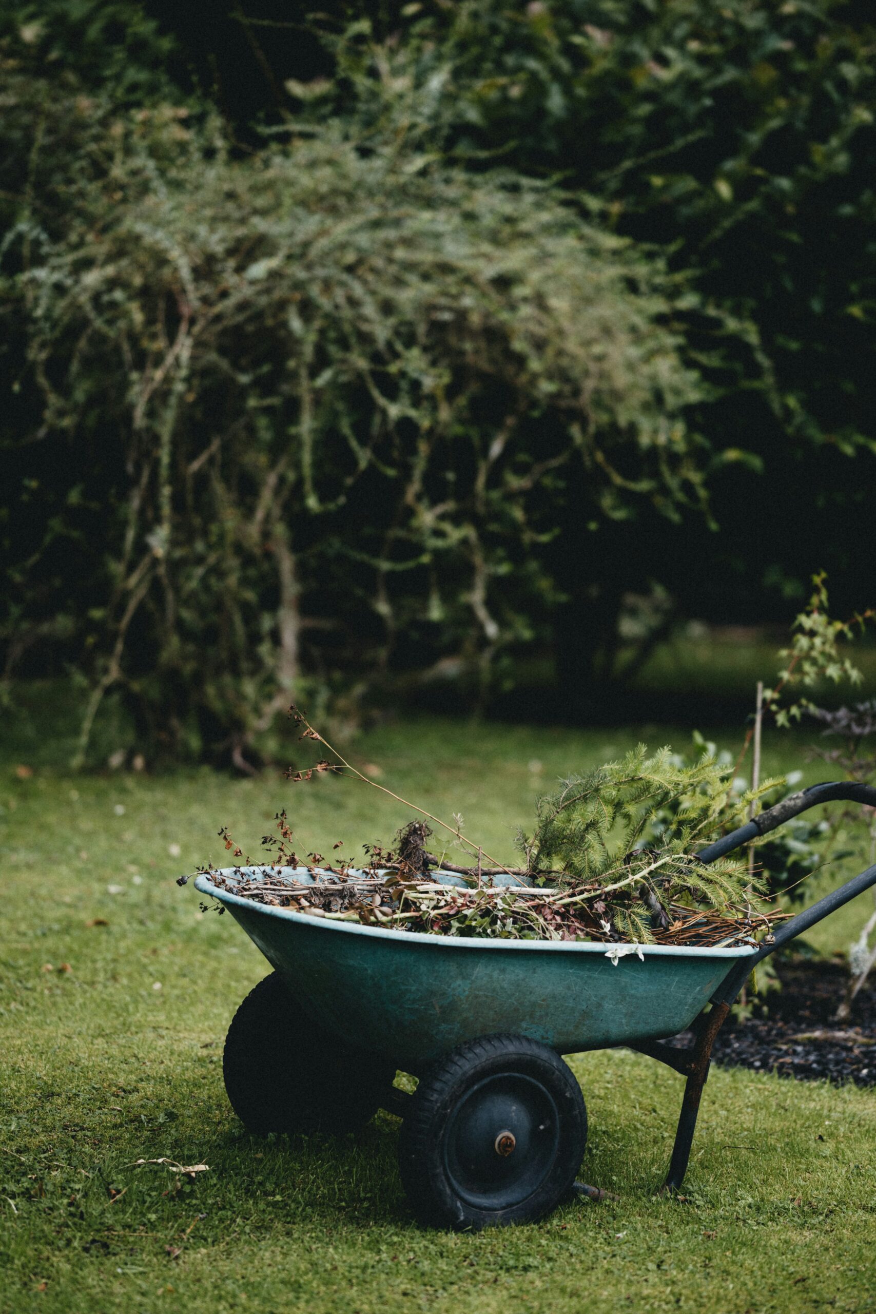 Gardener Joe